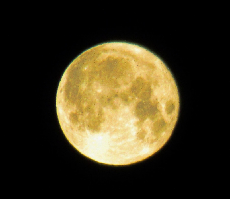 Full Moon by pocket camera.