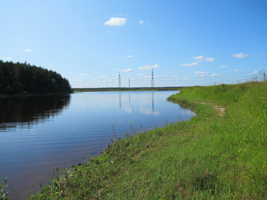 Black watercourse in Leningrad district, Russia.