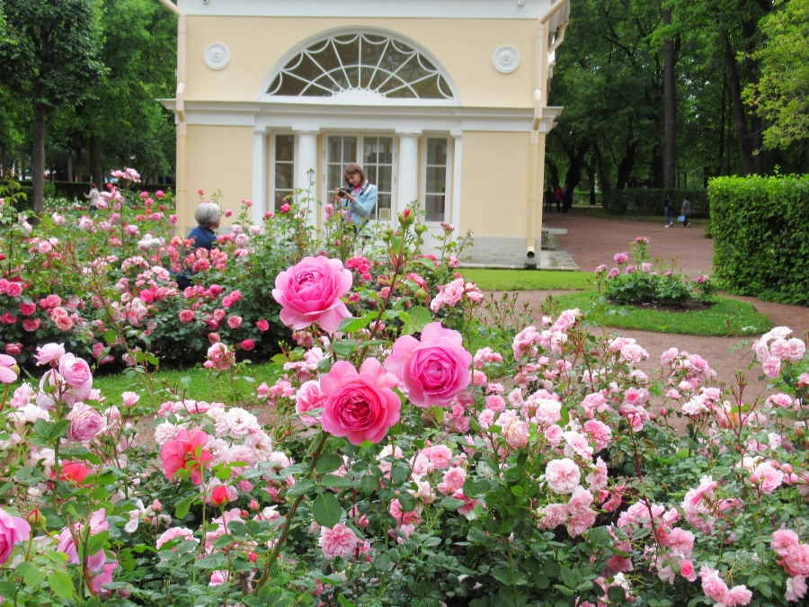 Flowers garden near Volyer Pavilion.