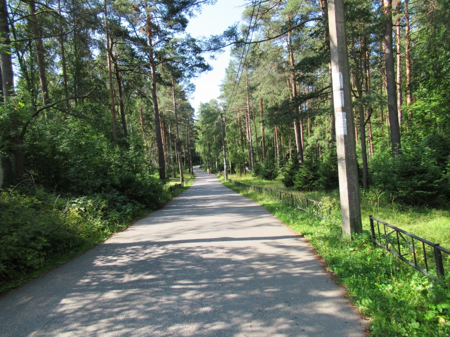 Trail to Laskovyy beach.